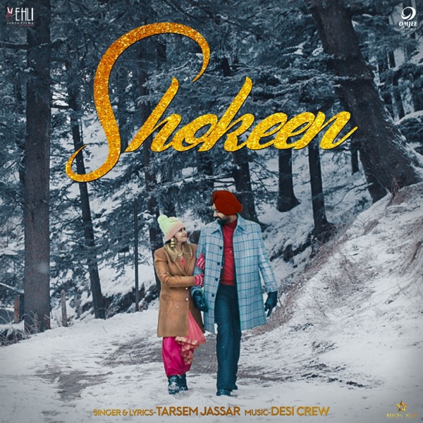Shokeen (From "Rabb Da Radio 2") cover